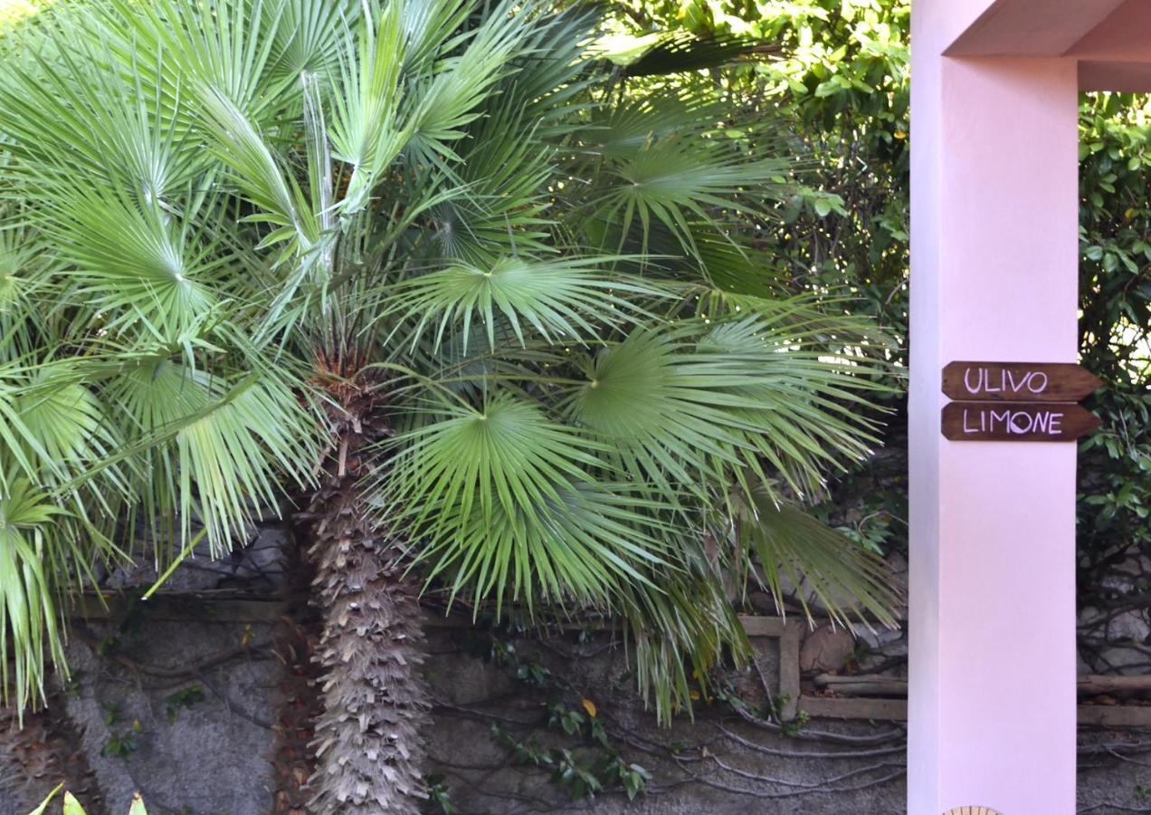 Villa Fiore Apartments Portoferraio Exterior photo